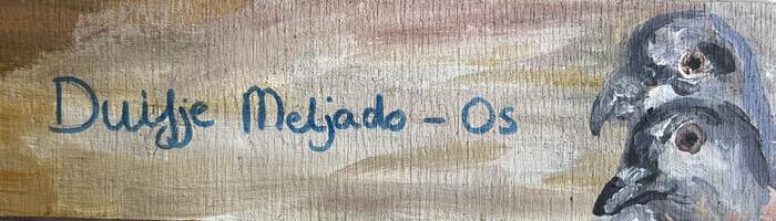 {% include 